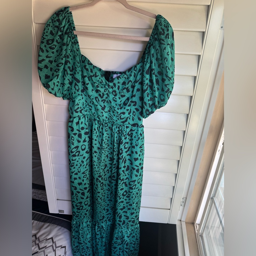NSR Green and Black Smocked Dress